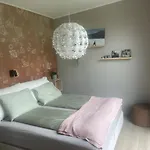 Modern House - Perfect For Holidays In